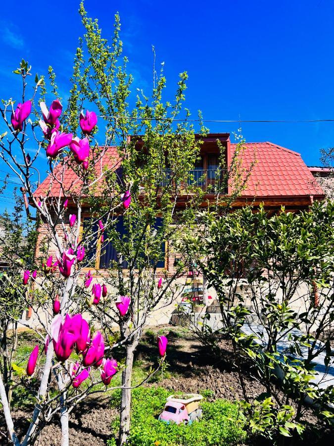 הוילה קוטאיסי Sunshine House מראה חיצוני תמונה
