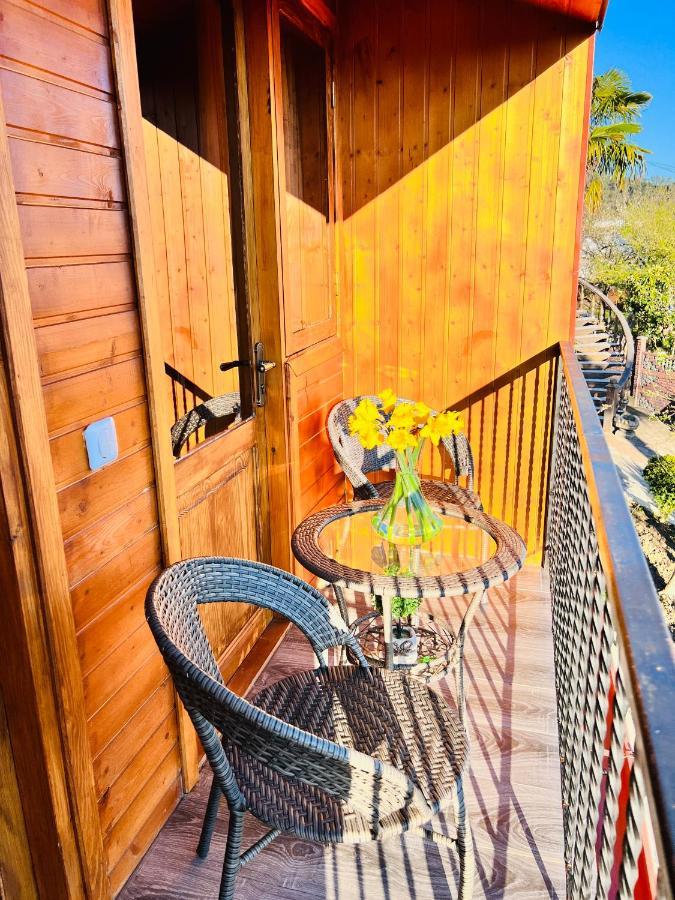 הוילה קוטאיסי Sunshine House מראה חיצוני תמונה