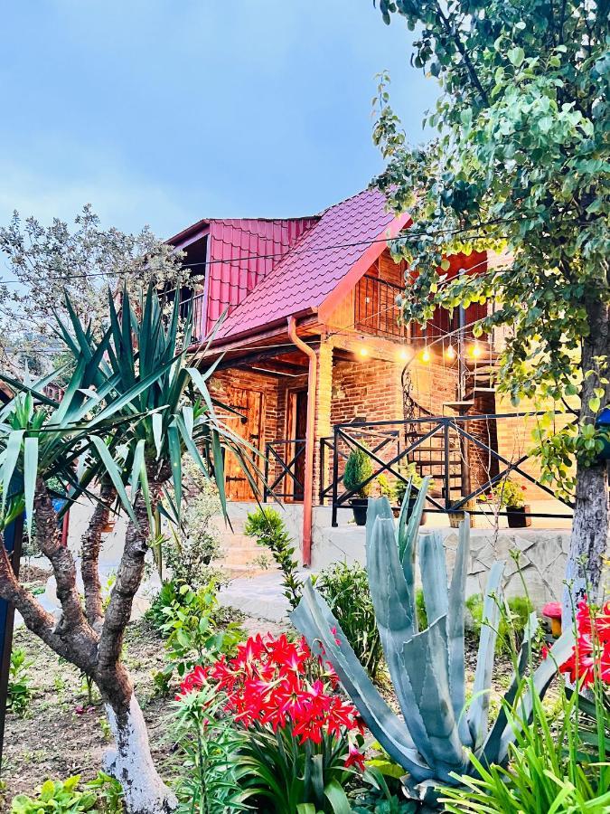 הוילה קוטאיסי Sunshine House מראה חיצוני תמונה