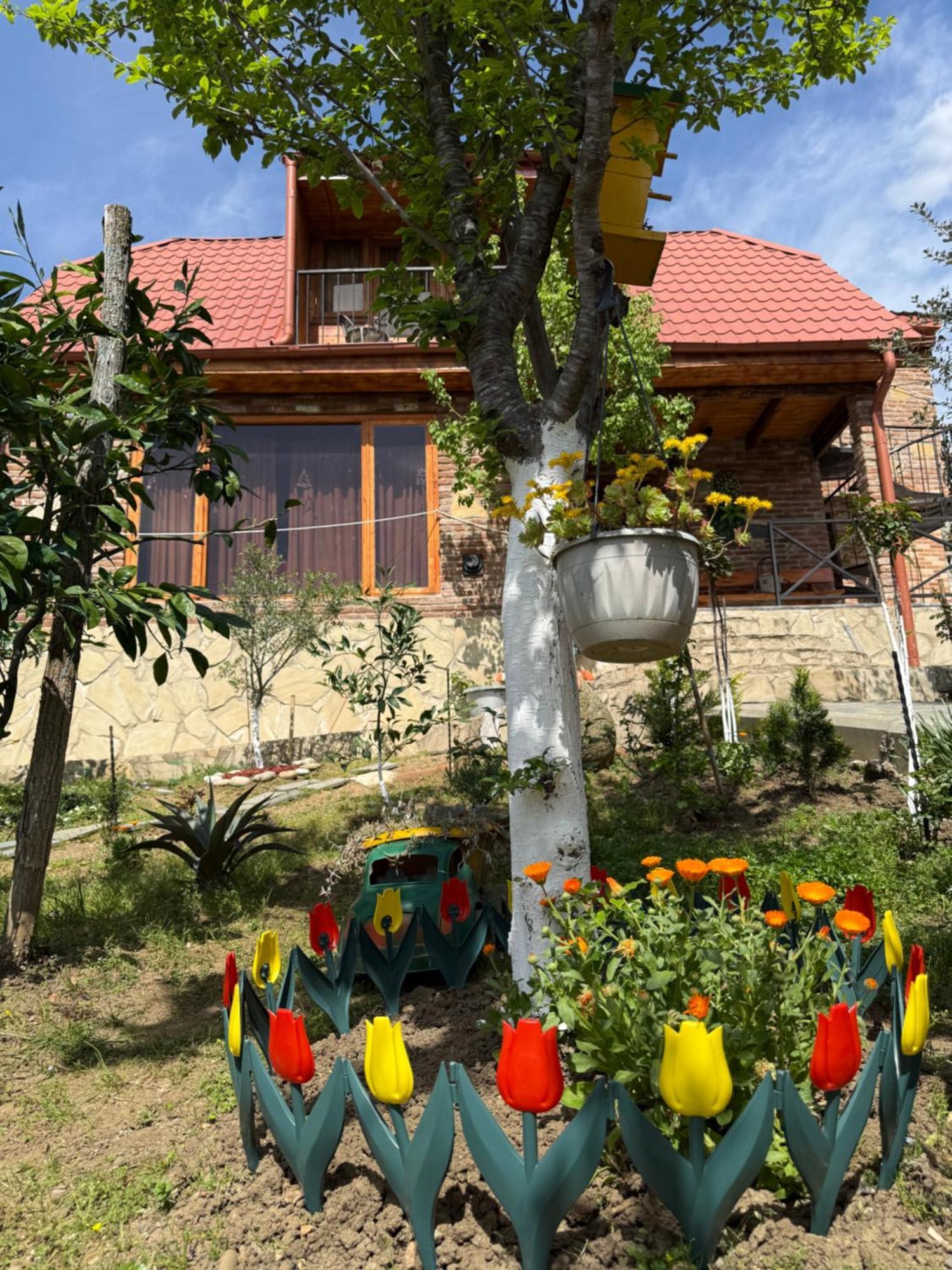 הוילה קוטאיסי Sunshine House מראה חיצוני תמונה